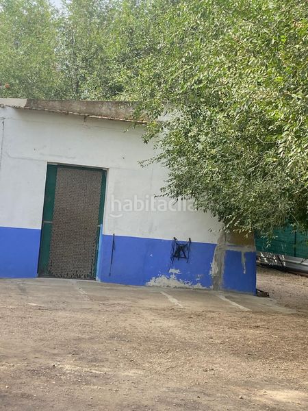Foto 05a3a9a1-10f8-4468-acc3-89505c4086d8. Finca rústica a Tomelloso