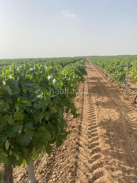 Foto ce29cb86-a075-4264-a0f3-a72da74a0c9d. Finca rústica a Tomelloso