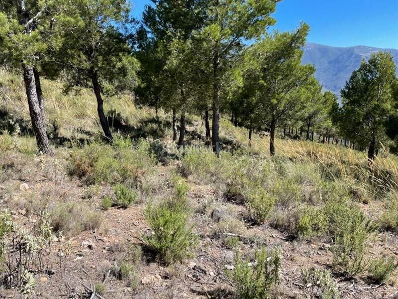 Foto 3b4fc598-7c03-4252-b716-59323f84d0ba. Finca rústica a 3 . parcela a Órgiva