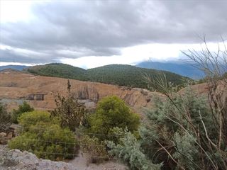 Landgut en Pol�gono 3 parcela, 14. Finca r�stica en carataunas