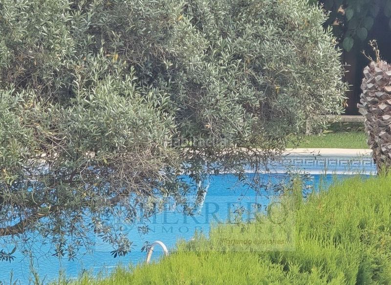 Foto 1ee14e6e-0078-4c93-b262-7da35e1c7064. Casa aparellada amb calefacció aparcament piscina a Gandia