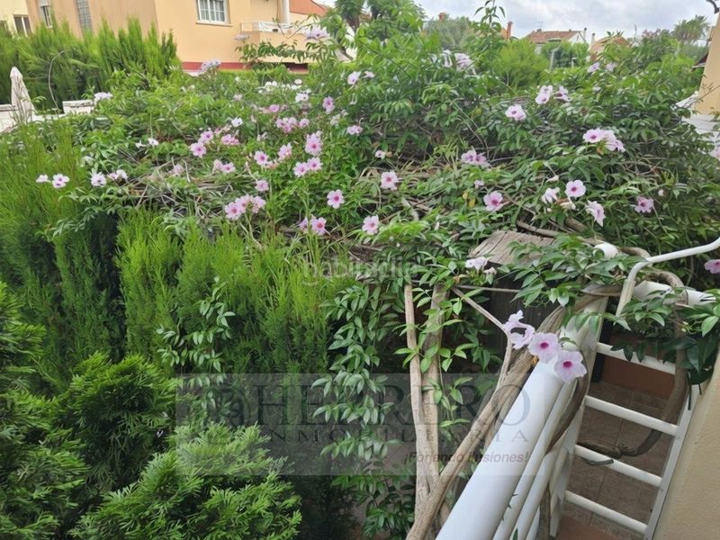 Foto 8ea73dcb-a765-416b-9267-de8d3ea3510a. Casa aparellada amb calefacció aparcament piscina a Gandia