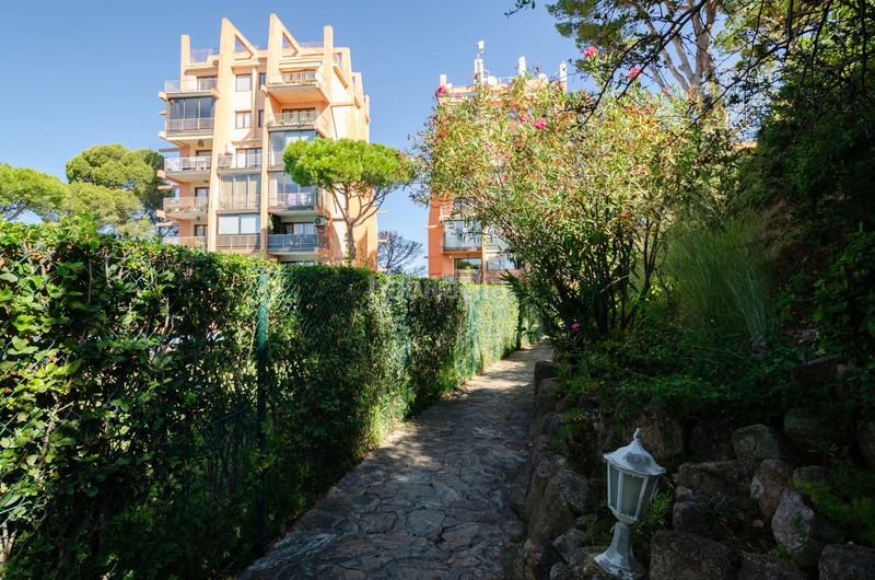 Foto b8173e91-8f62-4a87-8259-c388be5143ea. Piccolo appartamento in Los Pinos-Politur Platja d´Aro