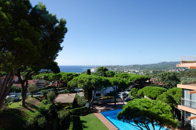 Foto f6fc6de5-edb4-4321-9036-14ec731f8197. Piccolo appartamento in Los Pinos-Politur Platja d´Aro