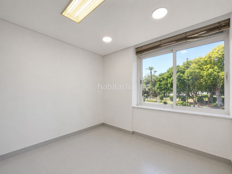 Foto c1f54a6d-6849-434e-bb32-5e2cf002db4d. Pis a plaza circular 13 a Vistalegre Murcia