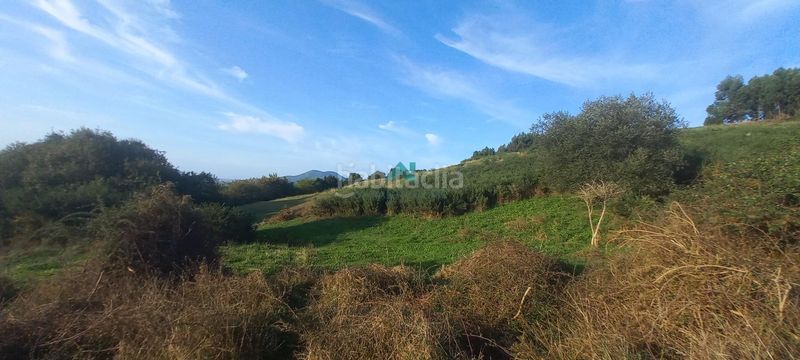 Foto b8c4c78e-ebb1-4181-8f79-c0574b518eaa. Finca rústica a El Callejo - La Pesquera - La Arenosa Laredo