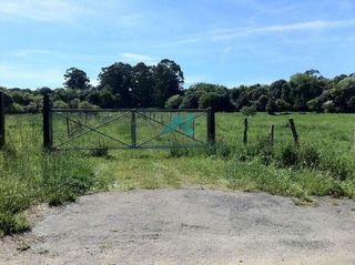 Finca rústica a Arnuero. Se vende terreno no urbanizable en arnuero