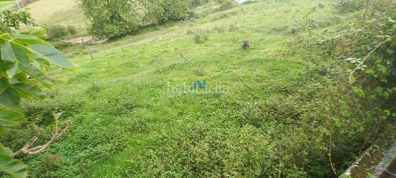 Foto 20bfc8c3-5662-49f5-a4ad-bb26c549fb8f. Finca rústica a Colindres