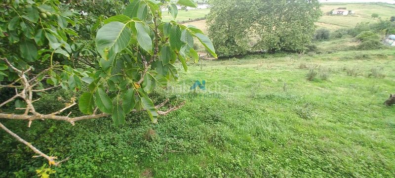 Foto 29a27fb1-48ae-452e-869b-72b1ce1bdeeb. Finca rústica a Colindres