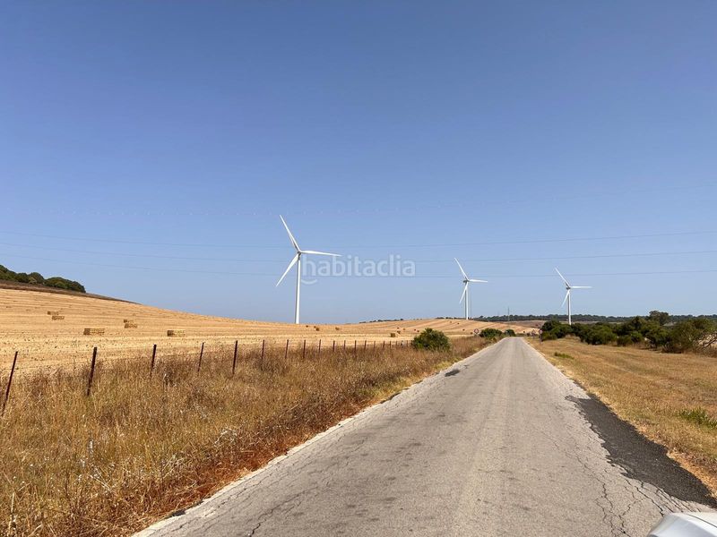 Foto 55da6915-6778-4e01-b0fe-6e5e5d643ebf. Terreny residencial a Vejer Vejer de la Frontera