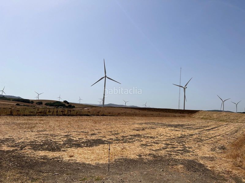 Foto eecdf985-bc7b-47f2-9c41-df9e56c03619. Terreny residencial a Vejer Vejer de la Frontera
