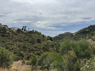 Residential Plot in El Madroñal