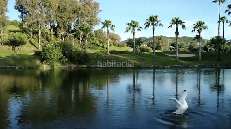 Foto 69759ab6-d10c-4e9f-b39b-9bf9dc15cafe. Àtic amb calefacció aparcament piscina a Estepona golf Estepona