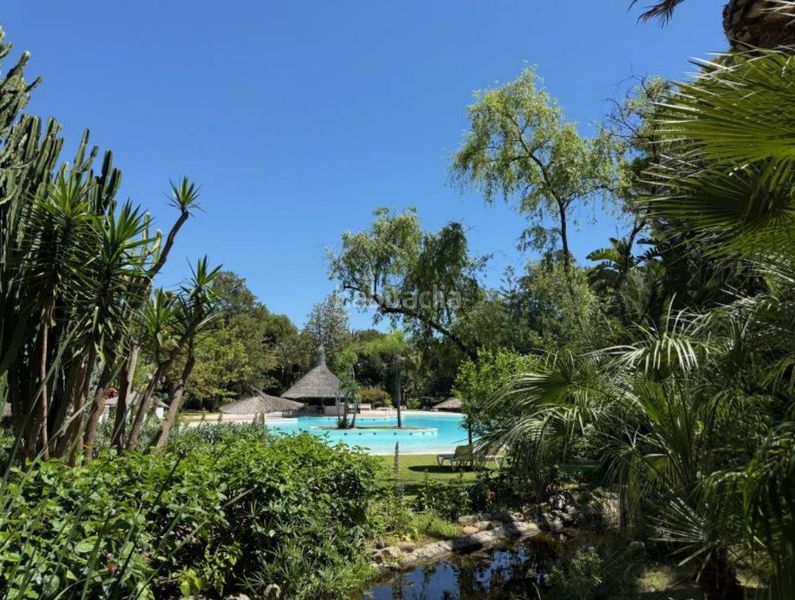 Foto f211dd7e-f848-498d-9eb6-7dcacd9e0702. Planta baixa amb aparcament piscina a Casasola Estepona