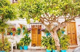 Foto f02cc2cf-6f3e-4deb-b999-cd6d9fc0be1c. Planta baixa amb calefacció aparcament piscina a Mijas