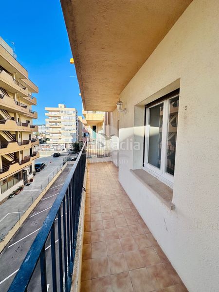 Foto f1ffb148-5aa3-416b-a33a-67e9ad9a10e7. Pis a Santa Margarida Roses