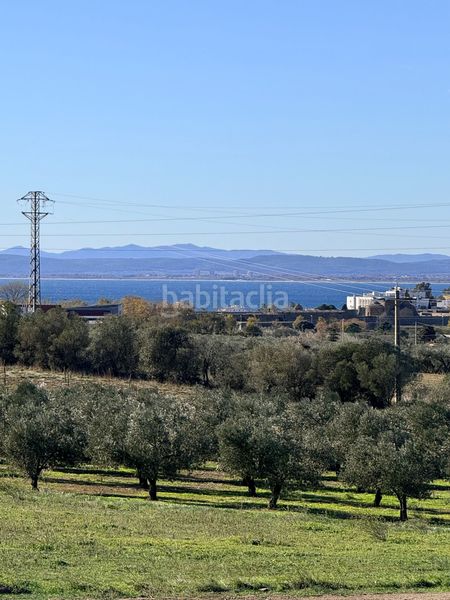 Foto d2ff02a9-69f1-4293-853f-4976165d4861. Finca rústica a Els Grecs-Mas Oliva Roses