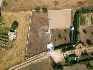 Finca rústica a Pau. Finca rústica de 799 m en pau con pozo