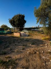 Finca rústica a Pau. Terreno de 374 m en palausaverdera con dos pozos