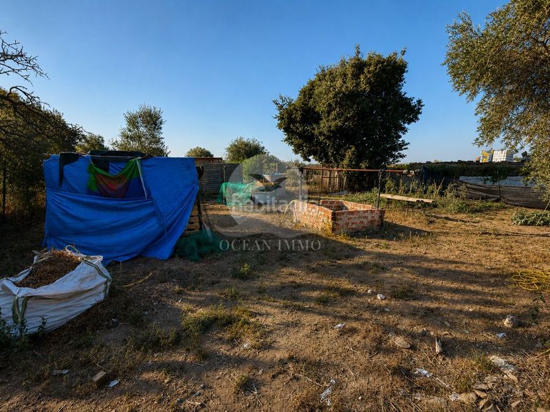 Foto e99222d1-b655-4dd5-86ce-a75175653123. Finca rústica a Pau