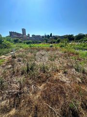 Rural plot in Castelló d´Empúries. Terreno agrícola en castelló dempúries con vistas al casco histó