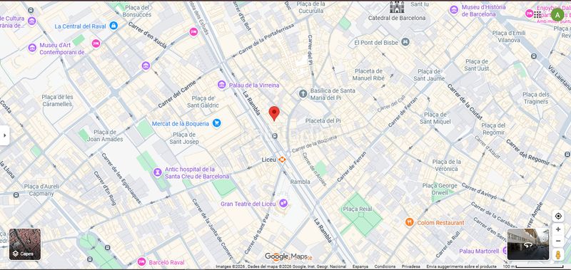 Foto 51c3c989-7a5a-4976-ab0a-188cb8887ffd. Aparcament cotxe a la rambla 88 a Raval Barcelona