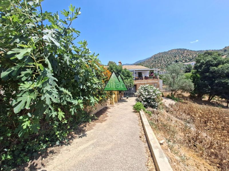 Foto be277178-90f6-408e-942d-4f4720a00fc6. Casa amb aparcament a Alcaucín