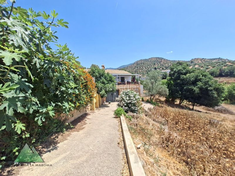 Foto d6d1a74c-892e-43bb-abaf-9e5815acccce. Casa amb aparcament a Alcaucín