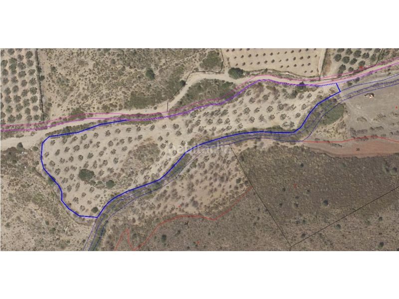 Foto af2f6e97-4a6a-4806-844f-e2a8145ce408. Finca rústica a Alcaucín