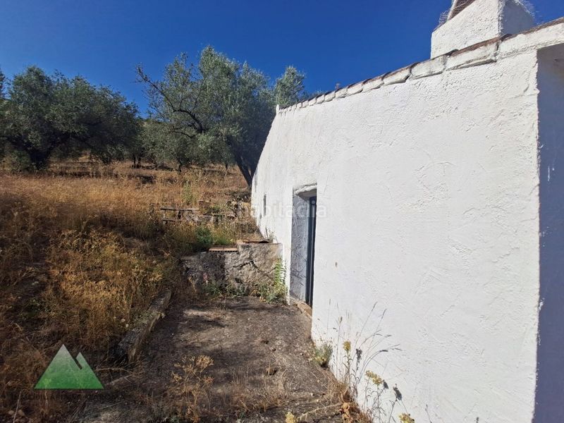 Foto 7a1069a0-b62e-410d-b24a-e4e2ba1f9310. Masia a Alcaucín