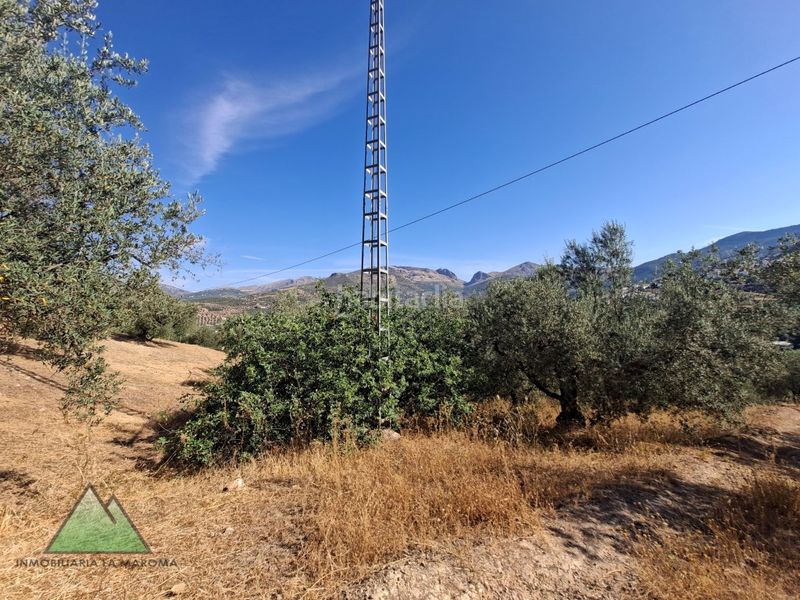 Foto f30969b8-92d9-4938-8df9-cfde60975899. Masia a Alcaucín