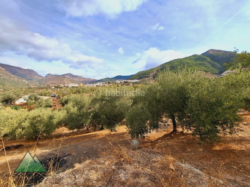 Foto fe54c1f7-e747-454d-b90f-71ca6eb0ad24. Masia a Alcaucín
