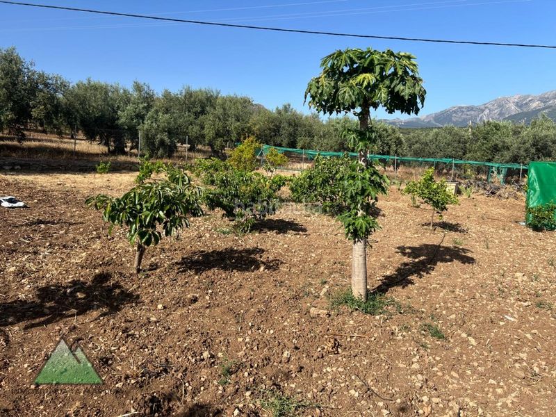 Foto 9948a318-eee8-4441-8245-aa6a7f509521. Masia amb aparcament a Periana