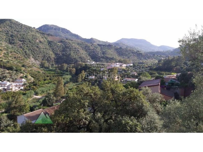 Foto b392cc1c-d084-46bd-8513-fdb6465a3f14. Masia a Comares