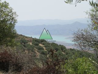 Bauernhof in Periana. Gran oportunidad en la maroma real state!