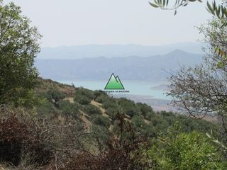Casale in Periana. Gran oportunidad en la maroma real state!