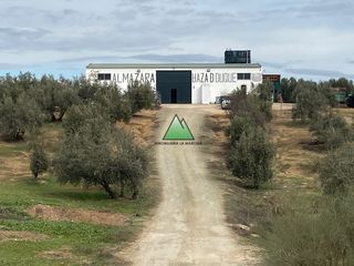 Business premise  Avenida constitucion. Una gran oportunidad de inversion!!!