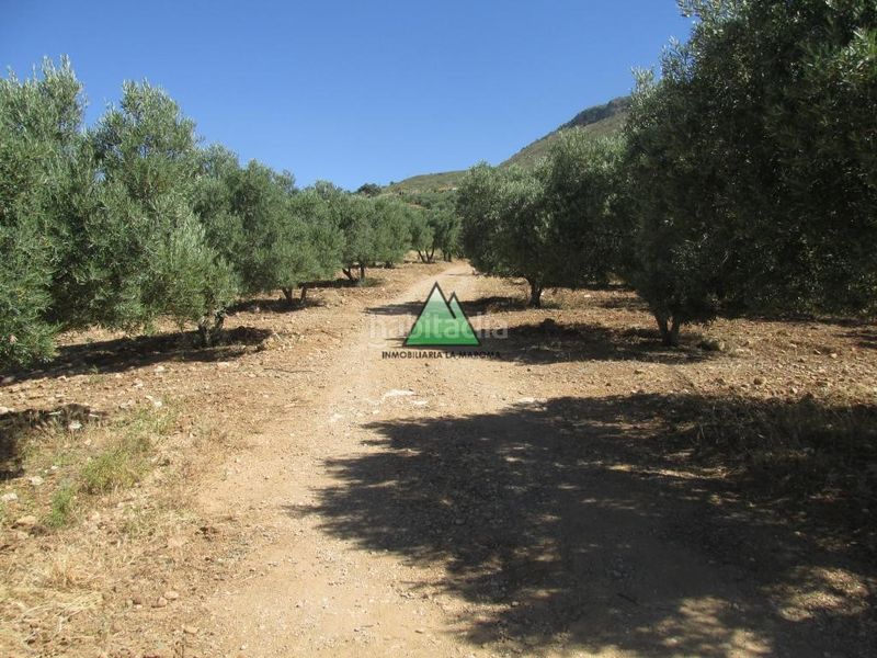Foto b9c175da-9556-4c81-bc1f-5d467f91409a. Casa a Alcaucín