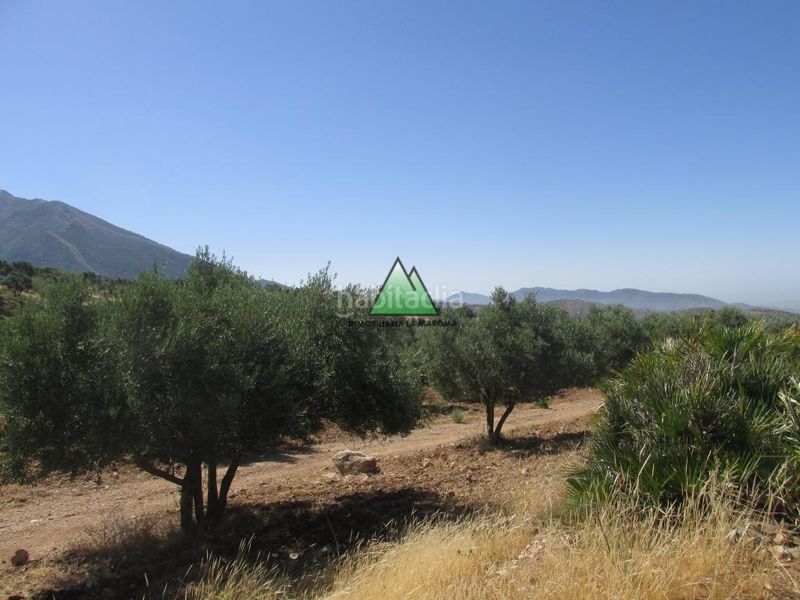 Foto ce78dd3d-9b6c-4dd0-829f-86bb449c965b. Casa a Alcaucín