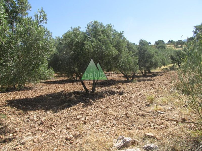 Foto d436af0c-275e-49b2-8366-94ae7d3d278e. Casa a Alcaucín