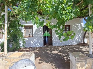 Casale  Carretera almachar-velez (triana) (triana-zorrilla). Finca con arboles frutales