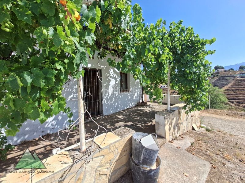 Foto e44a6749-0697-48f1-b4ec-cc0f33389cd3. Masia a Norte - Barrio del Pilar - El Reñidero Vélez - Málaga