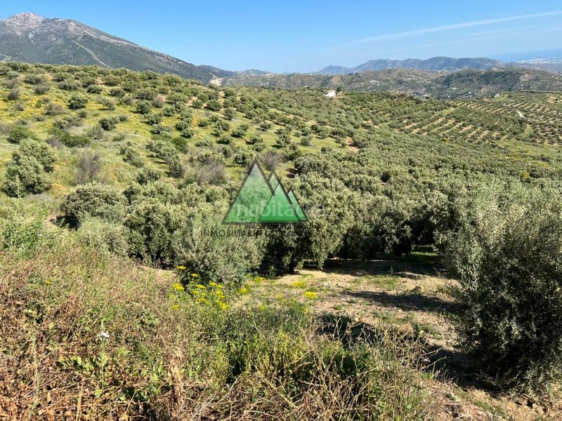 Foto 251d5e46-9c22-4de3-b73d-b8aea2792aa5. Finca rústica a Alcaucín