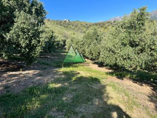 Finca rústica  Diseminados diseminado. Parcela rústica agraria en alcaucín de 16000 m2