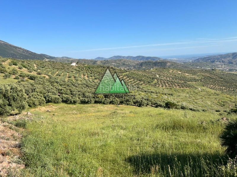 Foto 5633467e-2266-49fa-a478-017b906d9c22. Finca rústica a Alcaucín