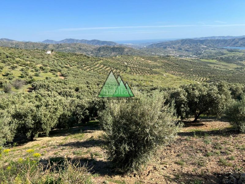 Foto bfacb810-3585-4799-a8cc-46026081d97a. Finca rústica a Alcaucín
