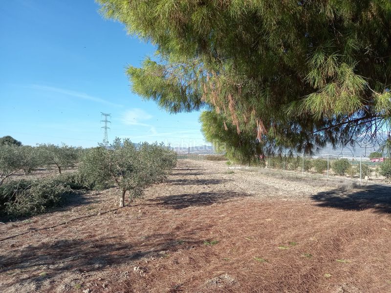 Foto 41444318-edab-4a37-b3b0-148b54cc2201. Masia amb xemeneia aparcament a Alhama de Murcia ciudad Alhama de Murcia