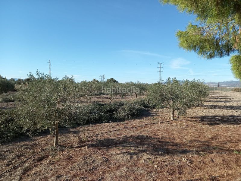 Foto bba6d608-3d34-440a-bfe5-d7061dc3300f. Masia amb xemeneia aparcament a Alhama de Murcia ciudad Alhama de Murcia