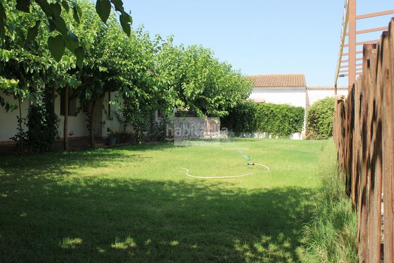 Foto a170c3ff-cf79-4475-89c1-6a88d0040dde. Casa a soledad 10 a Cózar
