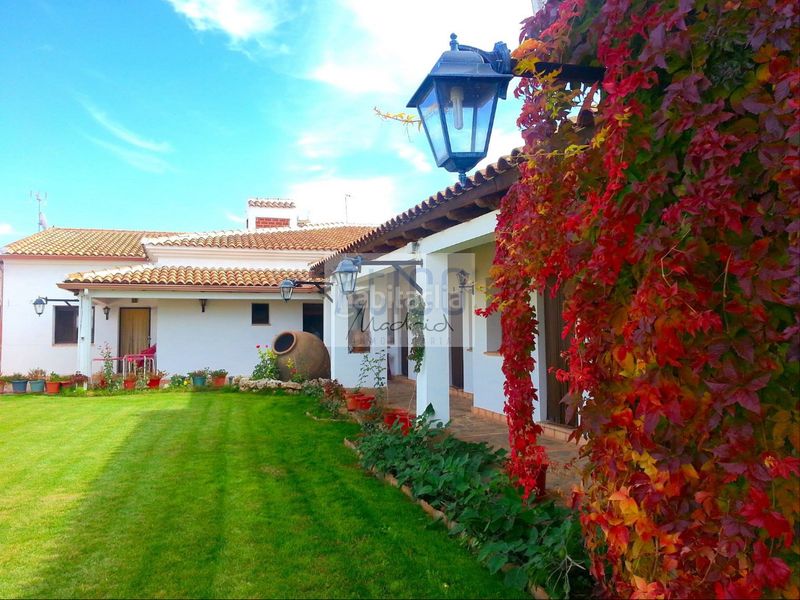 Foto de186d78-97e3-40d5-b274-fe6aeecde70b. Casa a soledad 10 a Cózar